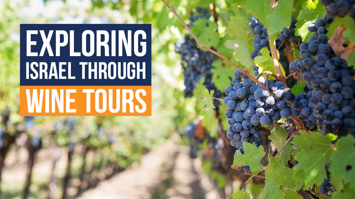 Exploring Israel through wine tours header