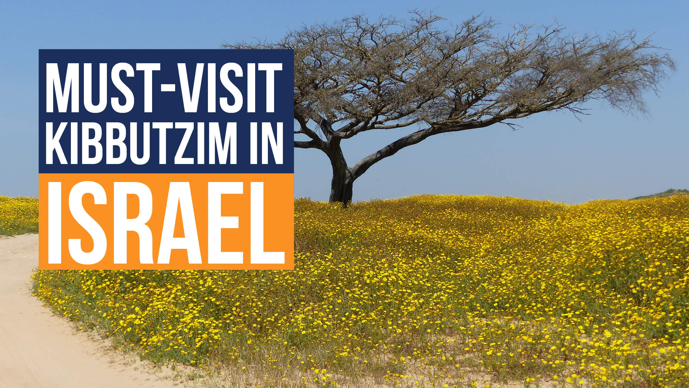 Must-Visit Kibbutzim in Israel header