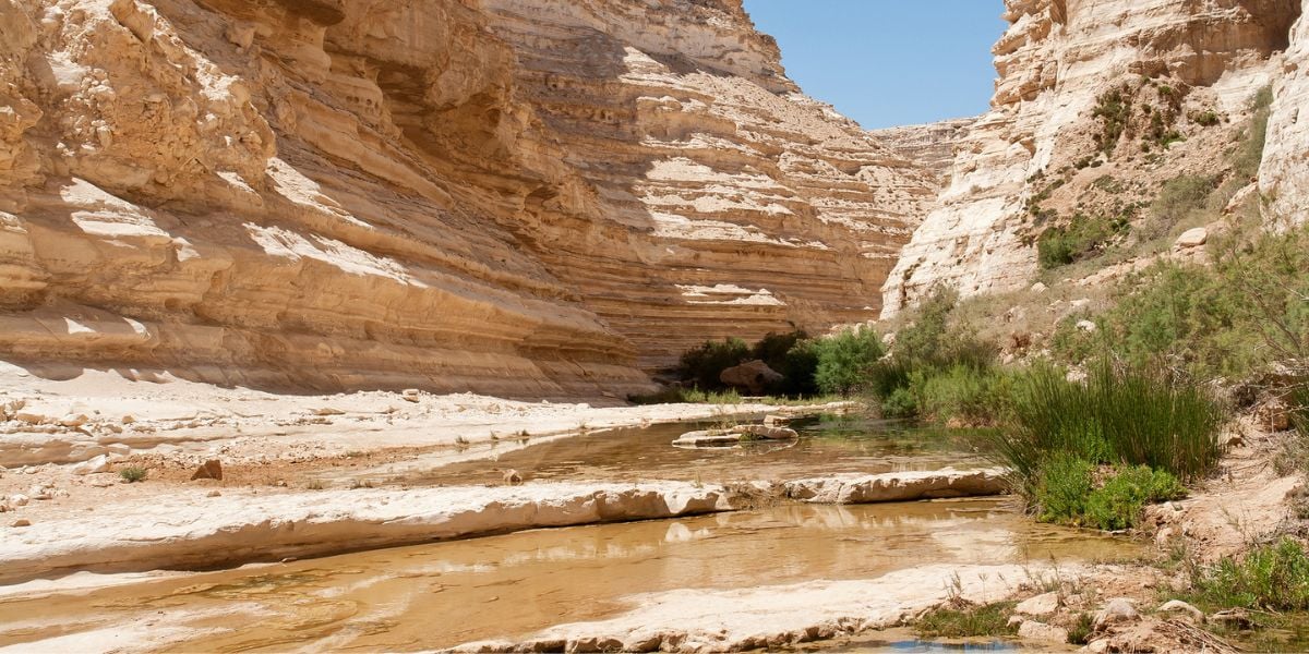 Find many streams in the Negev